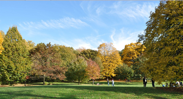 prospect-park