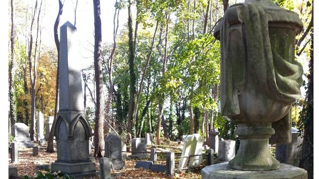 Staten Island cemetery-640