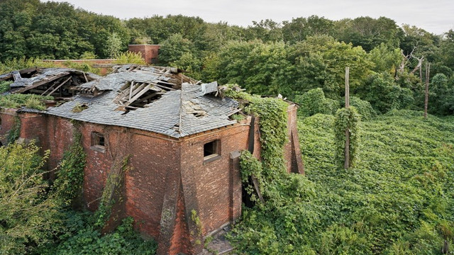 N-Brother Island-640