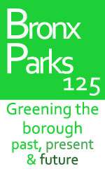 Bronx Parks 125 logo