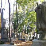 Staten Island cemetery-640