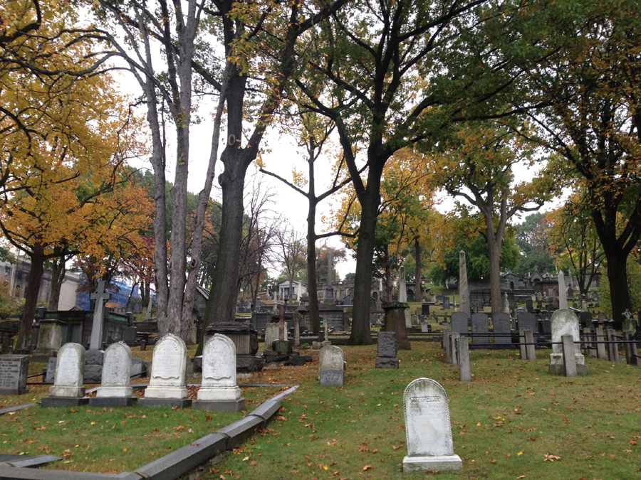 Trinity cemetery facing west-sm